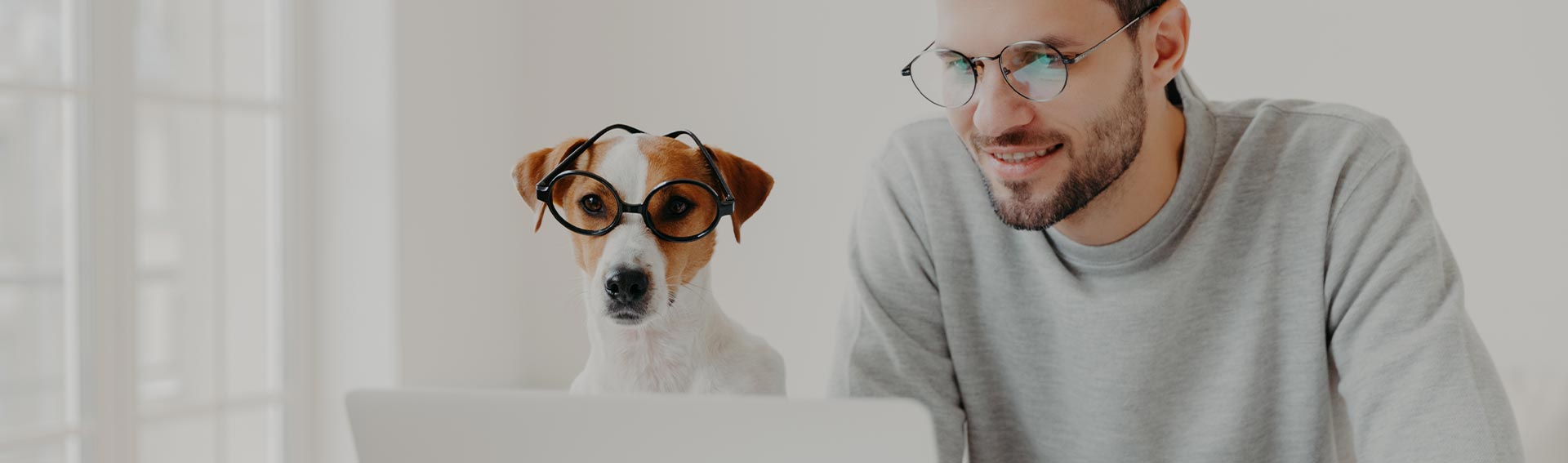Man and Dog with Glasses Reading