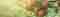 40-an-apple-a-day-to-keep-the-skin-doctor-away.jpg